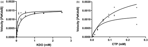 Figure 3. The inhibitory enzyme kinetics of KdsB from Pseudomonas aeruginosa (PaKdsB). The enzyme activities with (a) different concentrations of CTP in the presence of 0.25 mM KDO and (b) different concentrations of KDO in the presence of 0.1 mM CTP. Filled circles represent the inhibitory enzyme kinetics with DMSO and squares for with 14.66 µM Rose Bengal in (a). Filled circles represent the inhibitory enzyme kinetics with DMSO and triangles for with 14.66 µM Rose Bengal in (b).