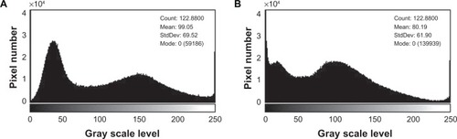 Figure 4 (A) Image histogram of PVA fibers; (B) image histogram of PVA/chitosan nanofibers.Abbreviation: PVA, polyvinyl alcohol.