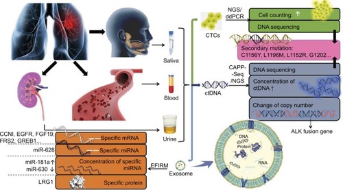 Figure 1 The research progress of liquid biopsy in resistance surveillance.