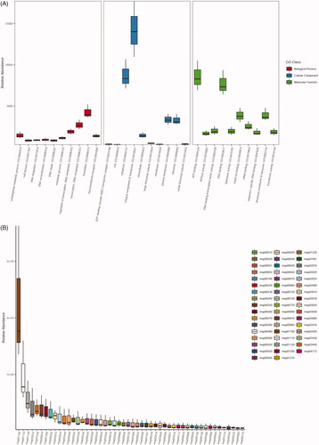Figure 4. Relative abundances of significant gene ontology (GO) terms and KEGG maps identified in this study. (A) Top-10 ranking GO terms belonging to the biological process, cellular component and molecular function categories; (B) Top-50 ranking KEGG maps detected in pig metagenomes.
