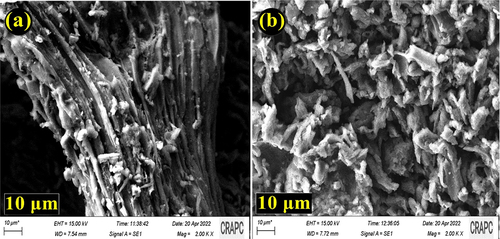 Figure 4. SEM micrographs of biochars: (a) B-700 and (b) HB-700.