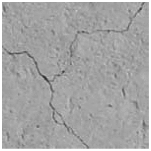 Figure 11. An image of the original crack in the dataset.