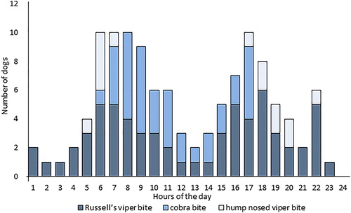 Figure 4. Distribution of snakebites according to the hours of the day.
