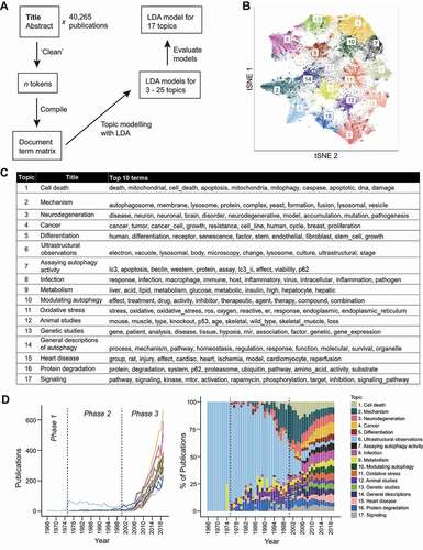 Figure 6. The topics in the autophagy research field. (A) A scheme illustrating how the LDA model was obtained. The top 20 terms for the topics in each model can be found in Data S6. (B) A t-SNE plot showing the probabilities of each publication assignment and that they are gathered into 17 clusters (“topics”). (C) A table containing the proposed titles of the 17 topics and the top 10 terms of each topic. (D) The publication count of each topic, corresponding to those in (C), was plotted over time as a line graph (left) and as a stacked bar graph, where it is displayed as a percentage of total number of studies for each year (right).