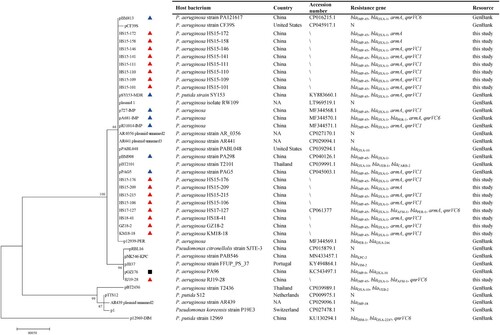 Figure 3. A maximum likelihood phylogenetic tree of 40 repA2 genes and features of their hosts. Red solid triangle, blue solid triangle and black solid square indicate blaIMP-45-carrying plasmids in this study, 7 blaIMP-45-carrying megaplasmids in GenBank and IncP-2 plasmid pOZ176, respectively. Resistance genes refer to β-lactamase genes, armA and qnrVC here. “N” denotes that the plasmid harbours no β-lactamase genes, armA or qnrVC.