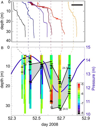 Figure 10. A, Density profiles from the CTD offset by 0.5 kg m−3 (scale bar top right) captured at times marked by dashed lines connecting the two panels. The dashed lines show the respective 24.5 kg m−3 value. B, Energy dissipation rate εs (m2 s−3) from the shear SMS profiles along with the pressure at the velocimeter showing tidal height variation, and the shaded band is between two isopycnals (24.5 and 24.6 kg m−3) estimated from the VMP’s temperature and conductivity sensors (not the CTD, so the shaded band in panel B doesn’t exactly match the CTD in panel A).