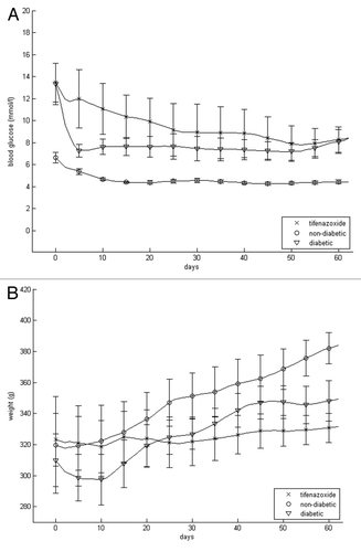 Figure 2. Blood glucose (A) and body weight (B) of transplanted rats that were non-diabetic and vehicle-treated, diabetic and vehicle-treated or diabetic and tifenazoxide-treated. There were eight rats in each group. Treatment was removed after 9 weeks i.e., after day 63.