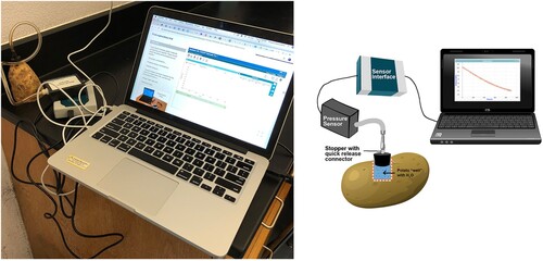 Figure 1. The experimental setup with the potato and pressure sensor [left] and an illustration of this in the module [right].