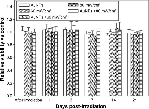 Figure 3 Photothermal effects on the viability of MG63 cells.Notes: The viability of MG63 cells treated with 5 ppm AuNPs and laser irradiation of either 60 mW/cm2 or 80 mW/cm2 for 1 minute and then cultured in fresh medium for 21 days. Data are presented as the mean ± SD (n=9) and were analyzed using the nonparametric Kruskal–Wallis H-test. Differences of P<0.05 were considered statistically significant.Abbreviations: AuNP, gold nanoparticle; SD, standard deviation.