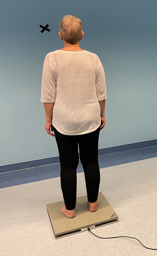 Figure 3 The motor function and balance measurement on a stabilometry platform.