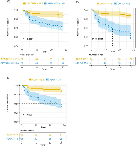 Figure 3 Comparison of 28-day mortality rates among sepsis patients in different APACHE II, SOFA scores, and RDW groups. (A) 28-day survival curve for sepsis patients with APACHE II ≥ 18.5 and APACHE II<18.5 on admission. (B) 28-day survival curve for sepsis patients with SOFA ≥ 11.5 and SOFA<11.5 on admission. (C) 28-day survival curve for sepsis patients with RDW ≥ 13.8 and RDW<13.8 on admission.