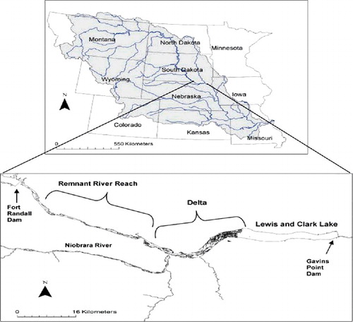 Figure 1. Missouri River basin and location of the Lewis and Clark Delta along the South Dakota–Nebraska border, USA. The upstream end of the Delta is located near its confluence with the Niobrara River (576907 N, 4734800 E). The downstream end of the Delta is located where the reservoir portion of Lewis and Clark Lake begins (594446 E, 4743533 N).