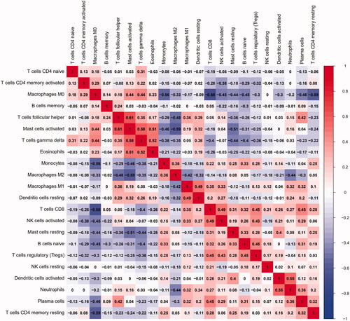 Figure 3. The co-expression patterns among fractions of immune cells. Red: positive correlation; blue: negative correlation.