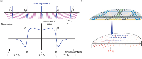 Figure 1. (a) Geometric variation of the angle between the incident electron beam and the local crystal orientation while scanning a rotating crystal sample. During any line scan through the center of a rotating crystal, the angle θ between the incident electron beam and the local crystal orientation varies from greater than θB to less than θB. The two symmetrical positions a and B are where θ = θB. This variation results in a change in the backscattered electron signal intensity during the line scan. (b) Schematic diagram of the crystal plane rotation of a rotating crystal and the corresponding Kikuchi pattern in the sample region.