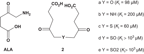 Scheme 1.  Bisubstrate analogs for porphobilinogen synthase.