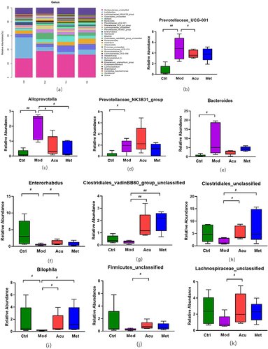 Figure 6 Structure and difference analysis of phyla horizontal flora. (a) Histogram of relative abundance of mouse flora composition at phyla level in each group. (b) Comparison of the relative abundance of Prevotellaceae_UCG-001 (c) Comparison of relative abundance of Alloprevotella. (d) Relative abundance ratio of Prevotellaceae_NK3B31_group. (e) Comparison of relative abundance of Bacteroides. (f) Comparison of relative abundance of Enterorhabdus. (g) Comparison of relative abundance of Clostridiales_vadinBB60_group_unclassified. (h) Comparison of relative abundance of Clostridiales_unclassified. (i) Comparison of relative abundance of Bilophila. (j) Comparison of relative abundance of Firmicutes_unclassified. (k) Comparison of relative abundance of Lachnospiraceae_unclassified. # P<0.05, ##P< 0.01 (n=5).