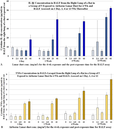 Figure 9. Rats were exposed to lunar dust by inhalation at 0, 2.1, 6.8, 20.8, or 60.6 mg/m3 for 4 weeks and the right lungs were lavaged thereafter at 1 d and 1, 4, and 13 weeks. BALFs were assessed for cytokines. (A) IL-1β levels. (B) TNF-α levels. Each data point contains the mean ± SD from five rats.