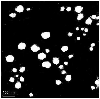 Figure 3 Transmission electron micrograph of genistein nanoparticles.