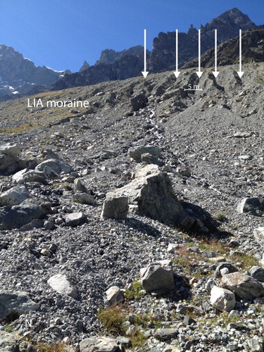 Figure 4. The new gullies (white arrows) created during a heavy rainfall event (26 August 2014) on the southern side of the LIA moraine of Glacier Noir.