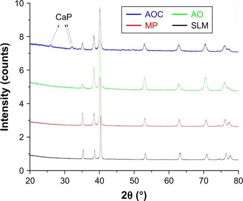 Figure 4 XRD spectra of the samples.Note: The extra diffraction peaks at around 26°, 32°, and 33° on the surfaces of the AOC samples were considered as CaP phase.Abbreviations: XRD, X-ray diffraction; CaP, calcium phosphate; AOC, anodic oxidation composited with electrochemical deposition; AO, anodic oxidation; MP, mechanically polished; SLM, selective laser melting.