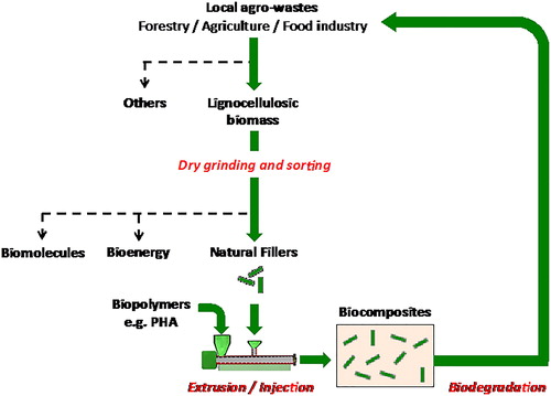 Figure 5. Up-cycling of lignocellulosic wastes for the production of biocomposites.