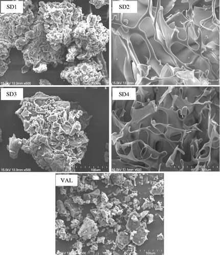 Figure 1. Scanning electron microscopy images of SD1 (PEG6000), SD2 (HPMC 100KV), SD3 (PEG6000 + Poloxamer 188), SD4 (HPMC 100KV + Poloxamer 188) and VAL (pure drug). Magnifications are shown for each sample 500×.