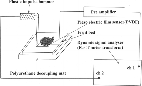 Figure 1 Schematic diagram depicting the sonic experimental setup.
