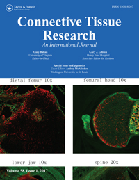 Cover image for Connective Tissue Research, Volume 58, Issue 1, 2017