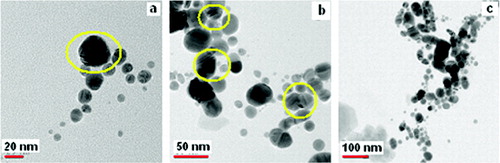 Figure 8. TEM image of the synthesised Ag NPs using US method at different magnifications.