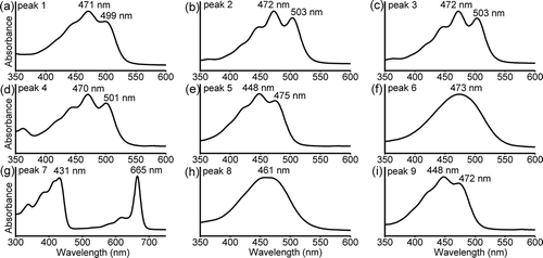 Fig. 5 In-line absorption spectra of the pigments separated by HPLC. The peak number in each spectrum corresponds to the number in Fig. 4a. (a) synechoxanthin; (b) myxoxanthophyll derivative 1; (c) myxoxanthophyll derivative 2; (d) myxoxanthophyll derivative 3; (e) zeaxanthin; (f) canthaxanthin; (g) chlorophyll a; (h) echinenone; (i) β-carotene