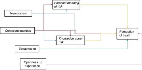 Figure 1 Proposed model of relationships among personality, risk perception, and health perception.
