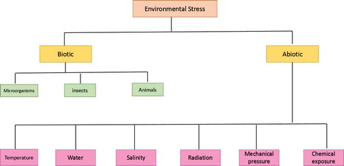 Figure 1. Types of potential environmental stresses for plant.