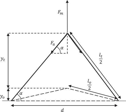 FIGURE 1 Schematic diagram of forces acting on dough and the length of dough during tensile test at the extensibility rig.