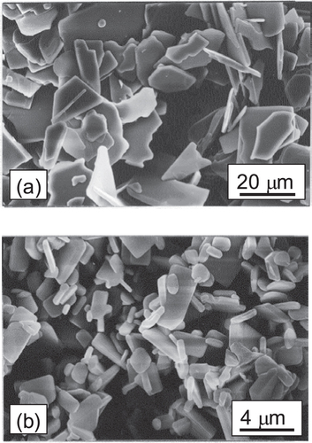 Figure 3. SEM images of flux-grown particles. (a) MSS–CT particles prepared at 1673 K for 8 h. (b) MSS–NT particles prepared 1573 K for 8 h.
