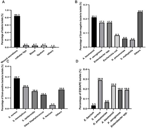 Figure 1 Distribution characteristics of pathogenic bacteria. (A) Strain source distribution; (B) Distribution of various types of Gram-negative bacteria; (C) Distribution of various types of Gram-positive bacteria; (D) Distribution of various types of ESKAPE pathogens.