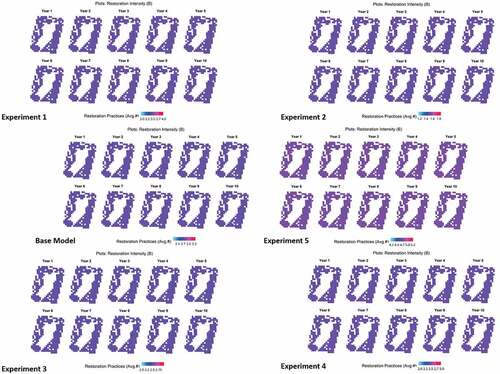 Figure A5. Comparison of the spatially explicit trends in restoration intensity and participation level among the base and experimental models for individual land-plot restoration