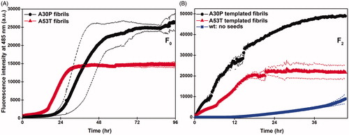 Figure 1. ThT aggregation kinetics for (A) unseeded A30P and A53T monomers (F0 generation) and (B) seeded aggregation with wt monomers and A30P and A53T templating seeds (F2 generation). Dashed lines around the curves denote standard deviation among the triplicates.