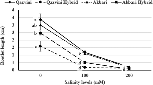 Figure 4. Effect of salinity levels on the pistachio rootstock rootlet length