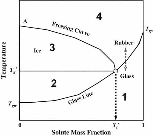 Figure 4 State diagram proposed by Levine and Slade showing 5 macro-regions.