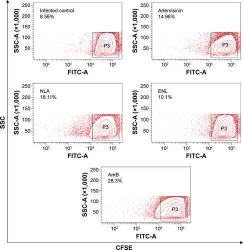 Figure S2 Contour plots representing percent proliferation of splenocytes after 72 hours of in vitro recall with SLA.Abbreviations: AmB, amphotericin B; CFSE, carboxy fluorescein succinidimyl ester; ENL, empty nanoliposome; NLA, nanoliposomal artemisinin; SLA, soluble leishmanial antigen; SSC, side scatter.