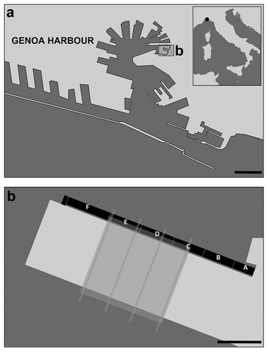 Figure 1. (a) Map of the study area and (b) floor plan indicating the floating dock (black), the concrete platform (light grey) and the awning (translucent dark grey). Scale bars: a = 500 m; b = 30 m.