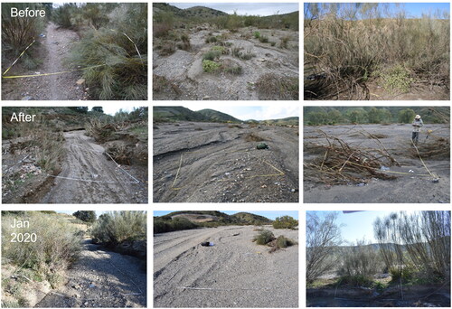 Figure 7. Comparison of example quadrats pre-flood (top row), post-flood (middle row) and in 2020 (bottom row) at Nog 1(left), Nog 2 (middle) and Nog Mon (right).