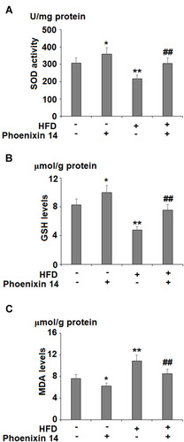 Figure 4 Administration of phoenixin 14 ameliorates hepatic oxidative stress in NAFLD mice. (A) SOD activity; (B) GSH levels; (C) MDA levels (*, **P<0.05, 0.01 vs vehicle group; ##P<0.01 vs HFD group).