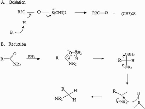 Figure 2 FRs interact with other molecules through redox reactions to obtain a stable electron configuration. In a redox reaction, electron transfer among the participating chemical species will occur. One molecule loses free electrons (A): oxidation process and the other gains electrons (B): reduction process. This balance is necessary in reactions or interactions between proteins that participate in any cellular biochemical pathways.