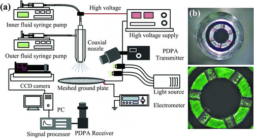 FIG. 1 Schematic diagram of (a) the experimental set-up and (b) the nozzle geometry.