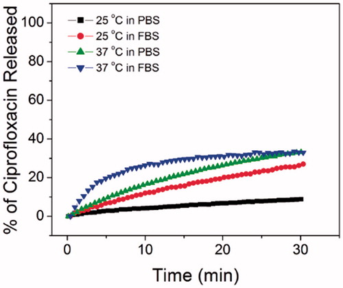 Figure 4. Ciprofloxacin release kinetics of PEG-HTSL in PBS and FBS at 25 and 37 °C.
