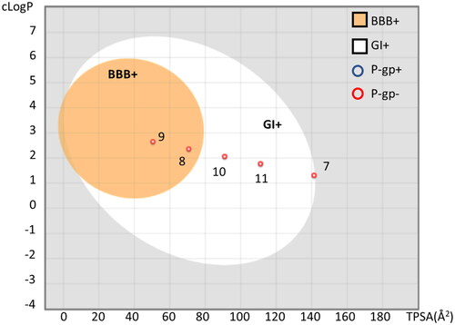 Figure 5. Boiled-egg representation of ellagic acid and urolithins A-C according to their TPSA and cLogP values, suggesting BBB permeability (BBB+, orange region), GI absorption (GI+, white region). Compounds predicted as P-gp substrate (P-gp+) are indicated with a blue circle; compounds predicted as negative P-gp substrate (P-gp−) are indicated with a red circle. The plot was generated using SwissADME.