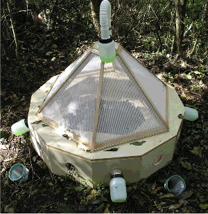 Figure 1. Modified Schoenly trap.