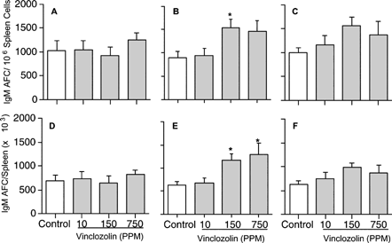 1 Effect of vinclozolin on IgM antibody-forming cell (AFC) response in F0 (A, D), and F1 male (B, E) and female (C, F) rats. Rats were exposed to vinclozolin, and the number of IgM antibody-forming cells to sRBC in splenocytes determined as described. Data are presented as AFC/106 cells (the specific activity) and AFC/Spleen. All data are homogeneous except for the AFC/Spleen in F1 generation male rats. Values represent the mean ± SE derived from ten animals. *, p ≤ 0.05.