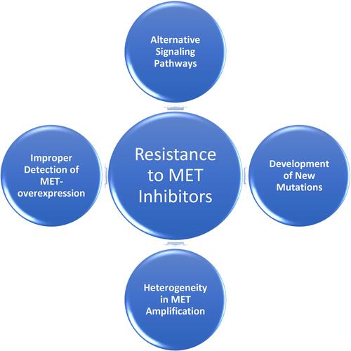 Figure 2 Mechanisms of Resistance to MET inhibitors.
